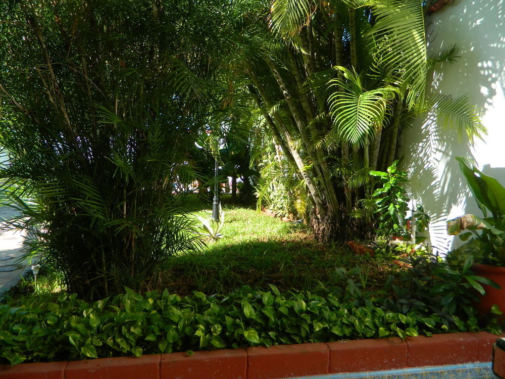 Hotel Colon Mérida Exterior foto